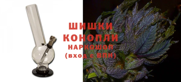 ГАЛЛЮЦИНОГЕННЫЕ ГРИБЫ Ельня