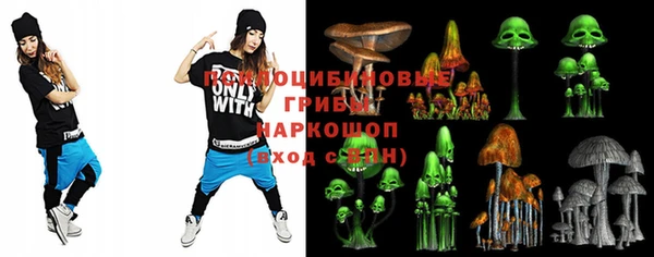гидропоника Елизово