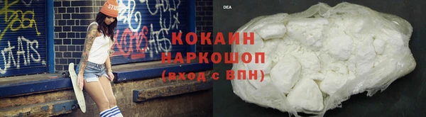ГАЛЛЮЦИНОГЕННЫЕ ГРИБЫ Ельня