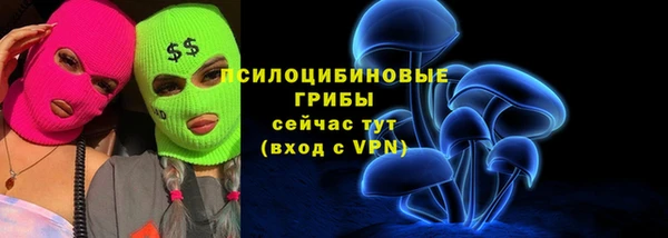 ГАЛЛЮЦИНОГЕННЫЕ ГРИБЫ Ельня