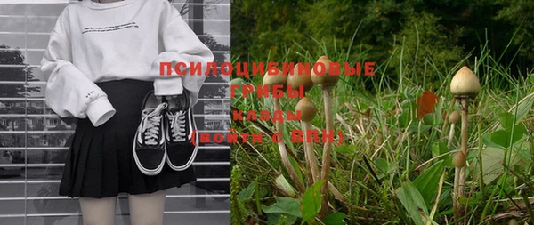 ГАЛЛЮЦИНОГЕННЫЕ ГРИБЫ Ельня