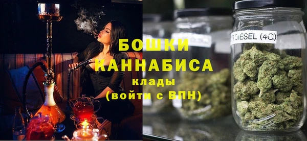 ГАЛЛЮЦИНОГЕННЫЕ ГРИБЫ Ельня
