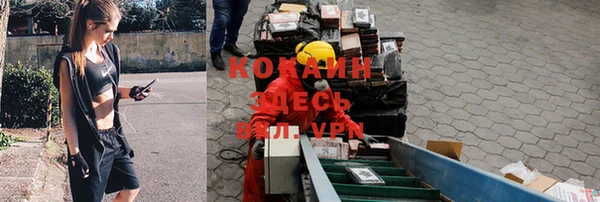 ГАЛЛЮЦИНОГЕННЫЕ ГРИБЫ Ельня