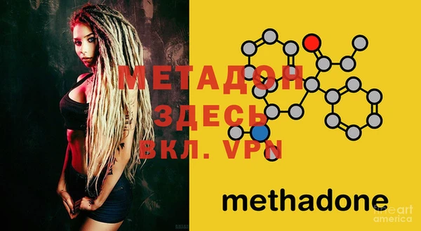 ГАЛЛЮЦИНОГЕННЫЕ ГРИБЫ Ельня
