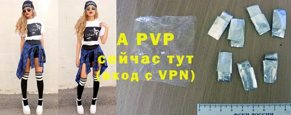 ГАЛЛЮЦИНОГЕННЫЕ ГРИБЫ Ельня