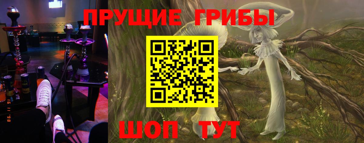 Галлюциногенные грибы MAGIC MUSHROOMS  Галлюциногенные грибы Cubensis  Краснодар  Вход с VPN 