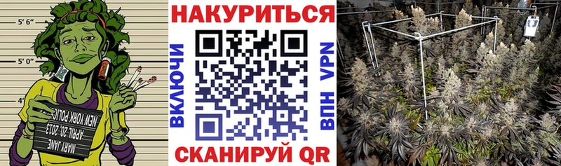 Шишки марихуана THC 21%  где купить наркоту  Краснодар 